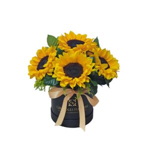 Box de 6 Girasoles