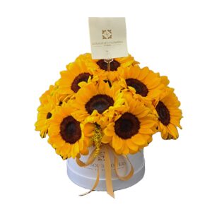 Box de 12 Girasoles