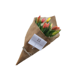 Ramo de 10 tulipanes