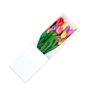 Caja de 10 Tulipanes