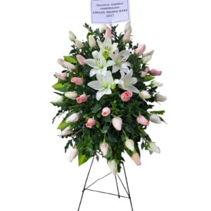 PARANTE MEDIANO DE ROSAS