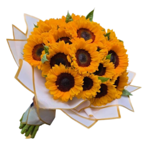 BUCHON 36 GIRASOLES