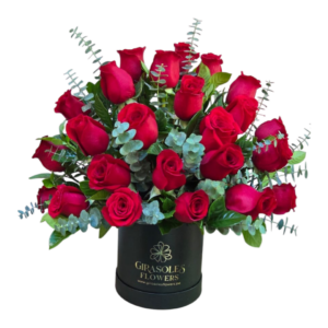 BOX 24 ROSAS