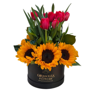 BOX TULIPANES ROJOS Y GIRASOLES