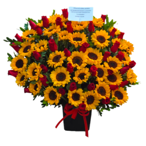 BOX 36 GIRASOLES Y 36 ROSAS